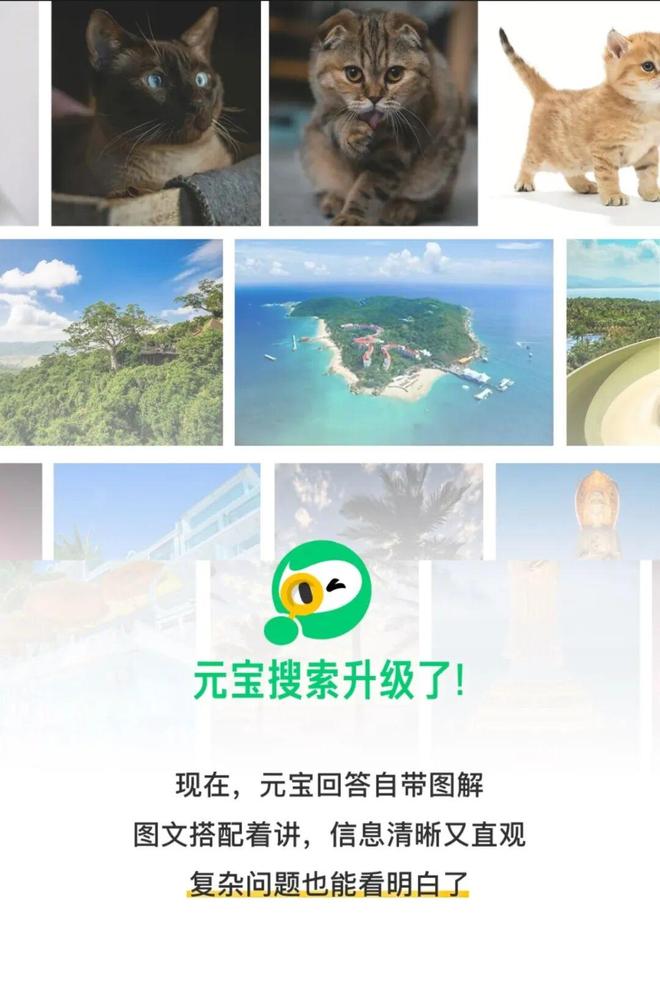 阿里内部全面禁用Claude Code，因存在植入后门风险-第9张图片-开云app在线下载-开云体云app官网入口下载-V3.6.9